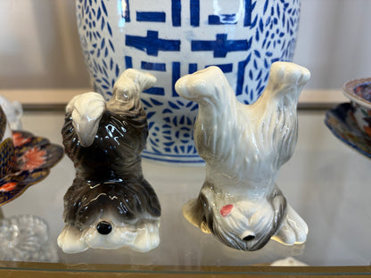 Sweetest tumbling sheep dogs pair!