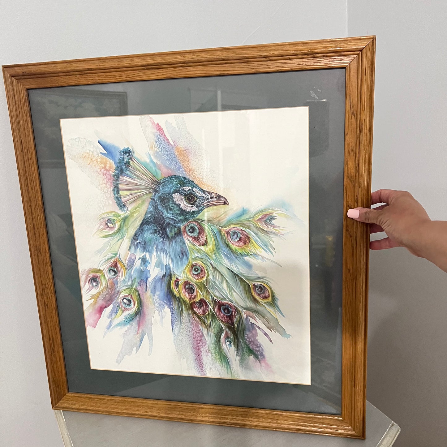 Gorgeous Large Framed Print Sheila Dale Watercolor Painting Peacock 24.75x22.25