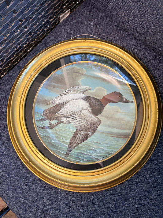 Lovely framed duck plate!