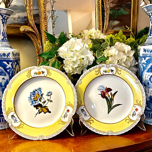 Set of two stunning botanical plates by designer Chelsie House