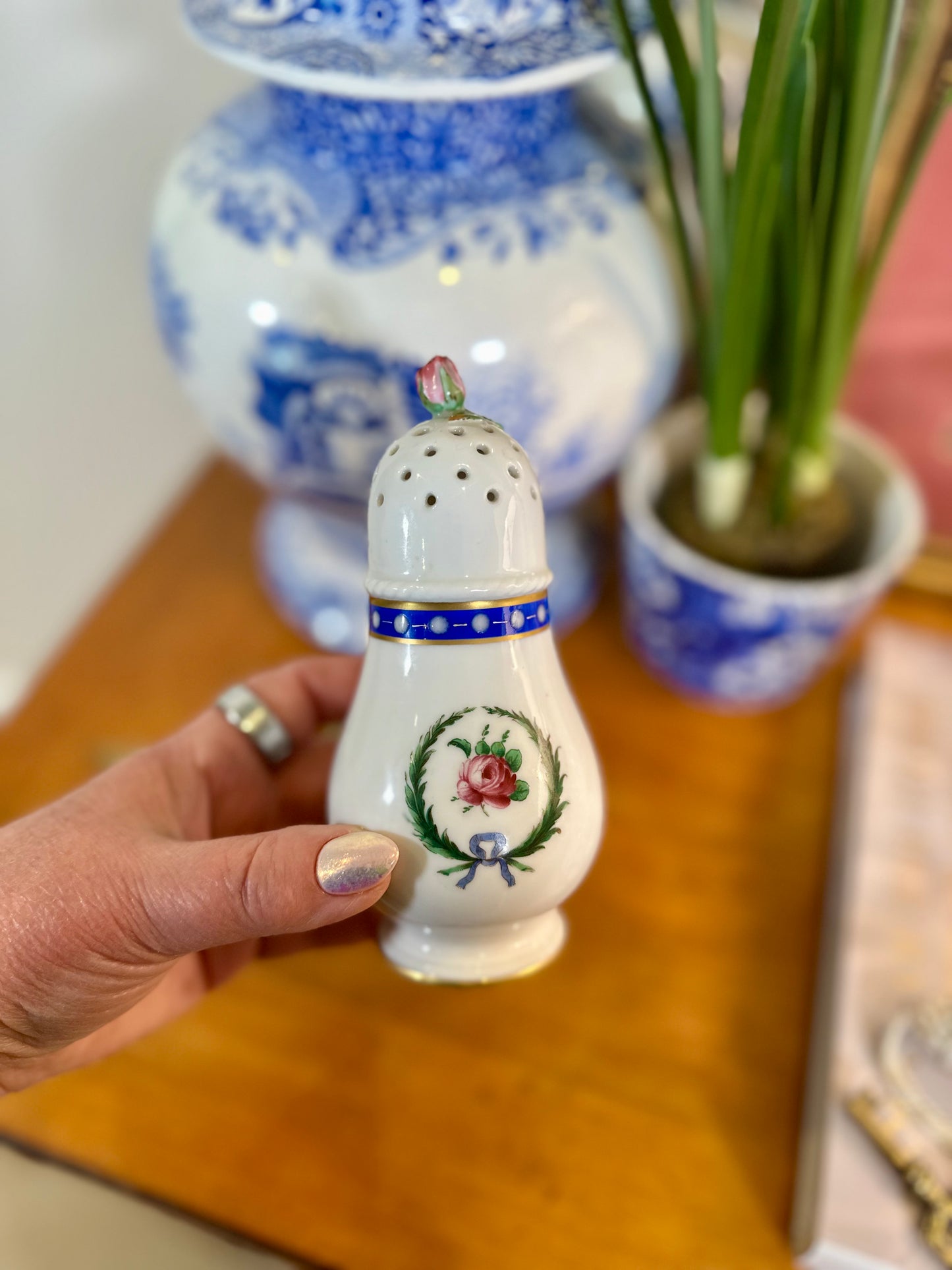Vintage Richard Ginori Princess Blue Porcelain Muffineer Sugar Shaker, Italy