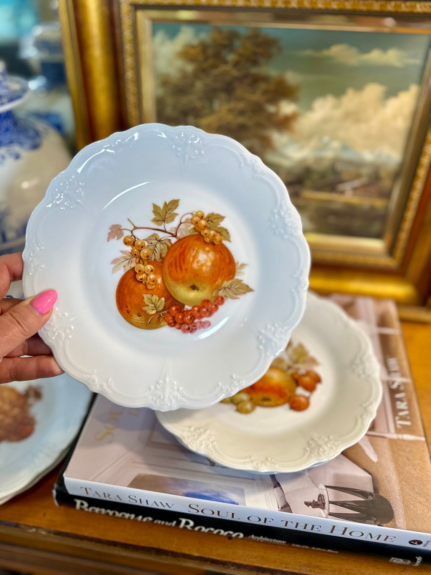 Fruit Harvest Baronesse Salad Plates by Tirschenreuth, Set of 5, Made in Germany, 8.25”