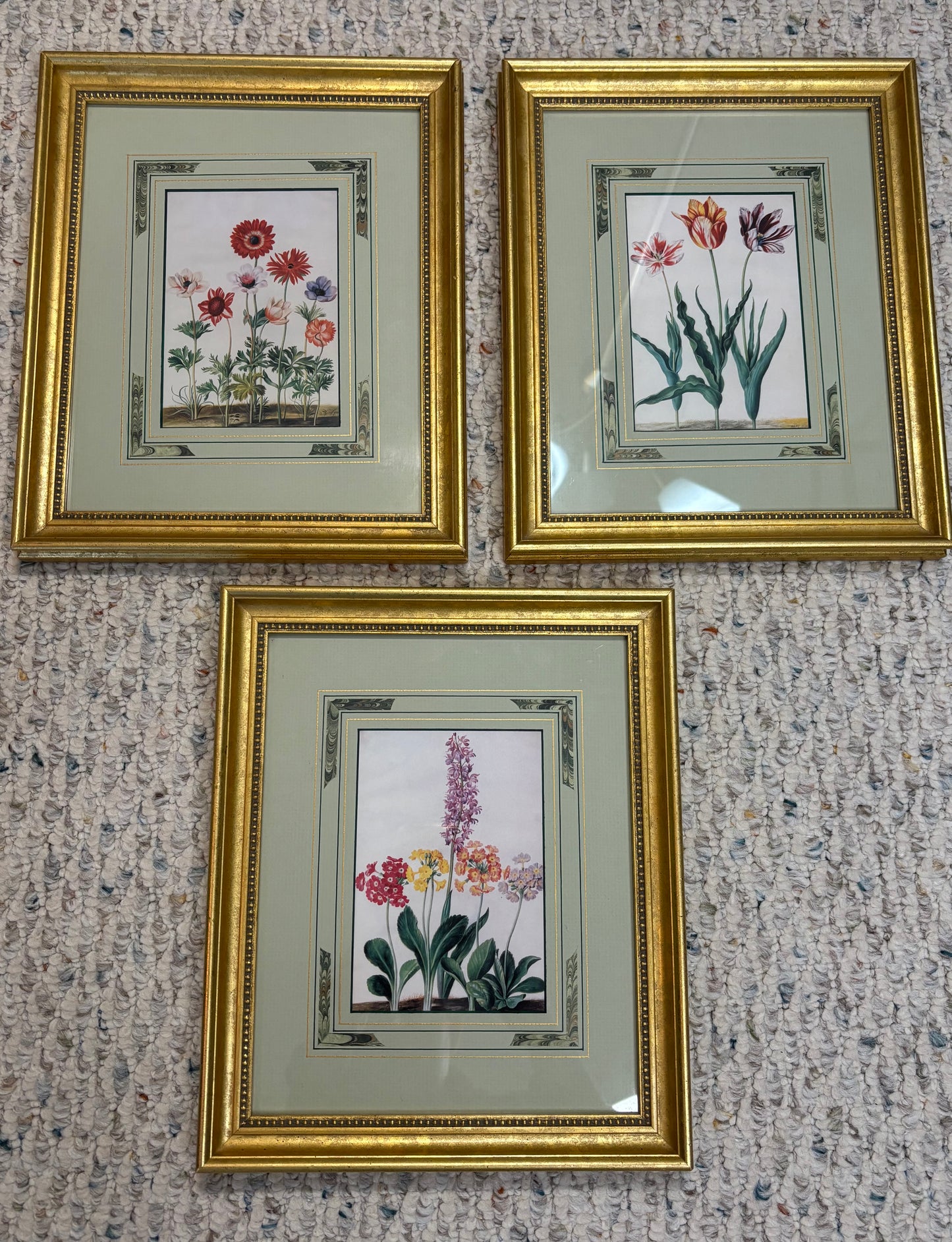 Lovely framed florals trio!