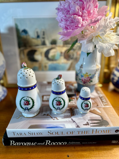 GORGEOUS Richard Ginori Princess Blue Porcelain Sugar Shaker Set, Made in Italy