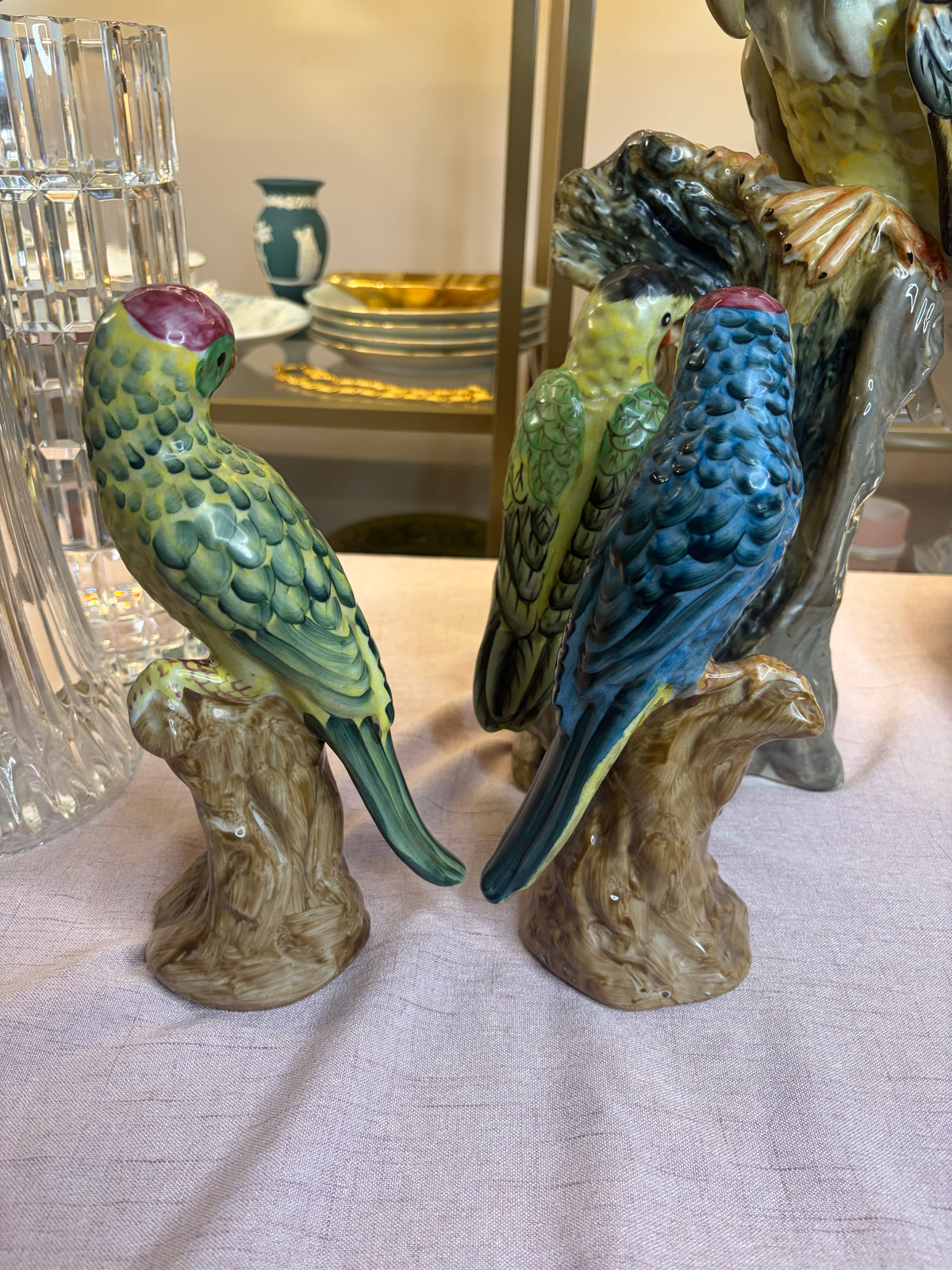 Lovely parrots pair!