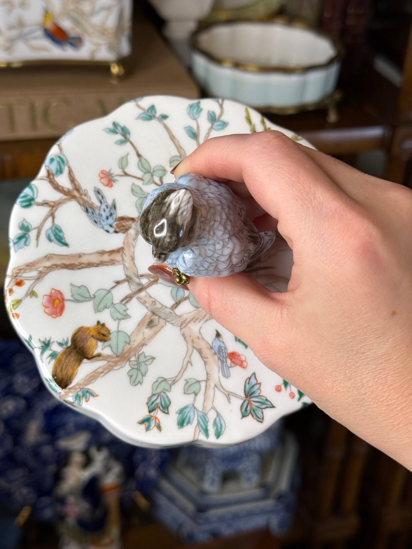 Danny’s Fine Porcelain | “Garden of Life” Porcelain Box with Bronze Ormolu & Bird Finial – 6”