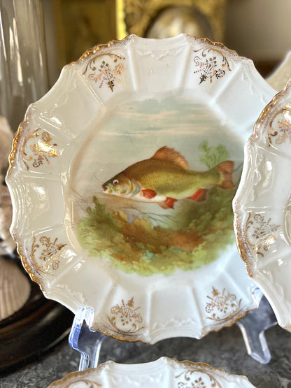 Beautiful Set of 6 Antique Gilded Fish Plates