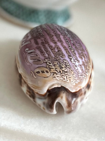 Live 09/22 Late 19th Century Victorian Carved Tiger Cowrie Shell – The Lord’s Prayer Purple/Pink Hues