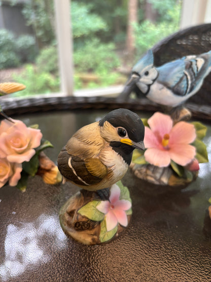 Sweetest Andrea by Sadek chickadee! - Excellent condition!