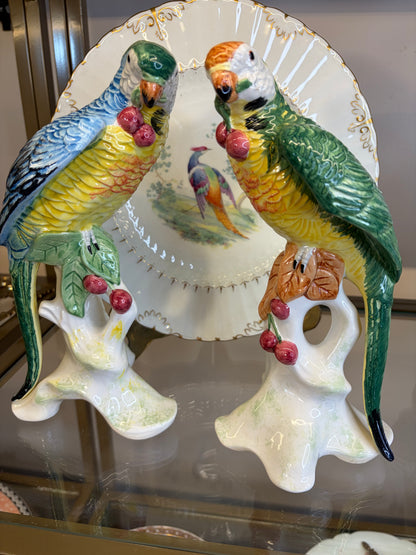 Stunning Chelsea House parrots pair!