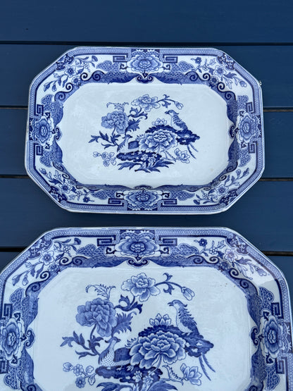 Antique Pair (2) Mason's Ironstone "India Pheasant" Blue & White Platters | Pair | Large & Small | c.1820 | Styles DA4493 & DA4494