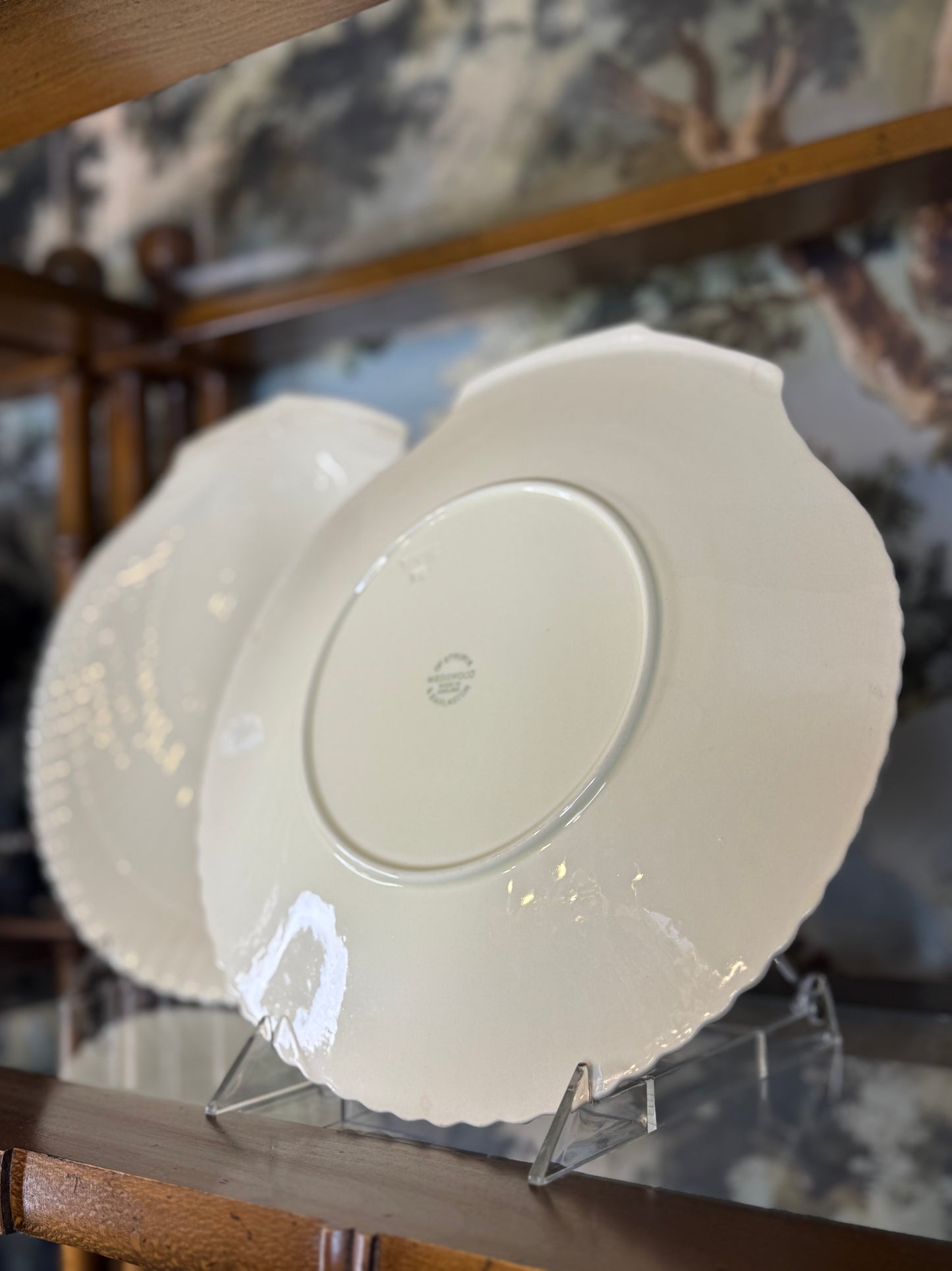 Vintage Wedgwood Nautilus Shell Plates | Pair of Large Etruria & Barlaston Scallop Plates | 11”