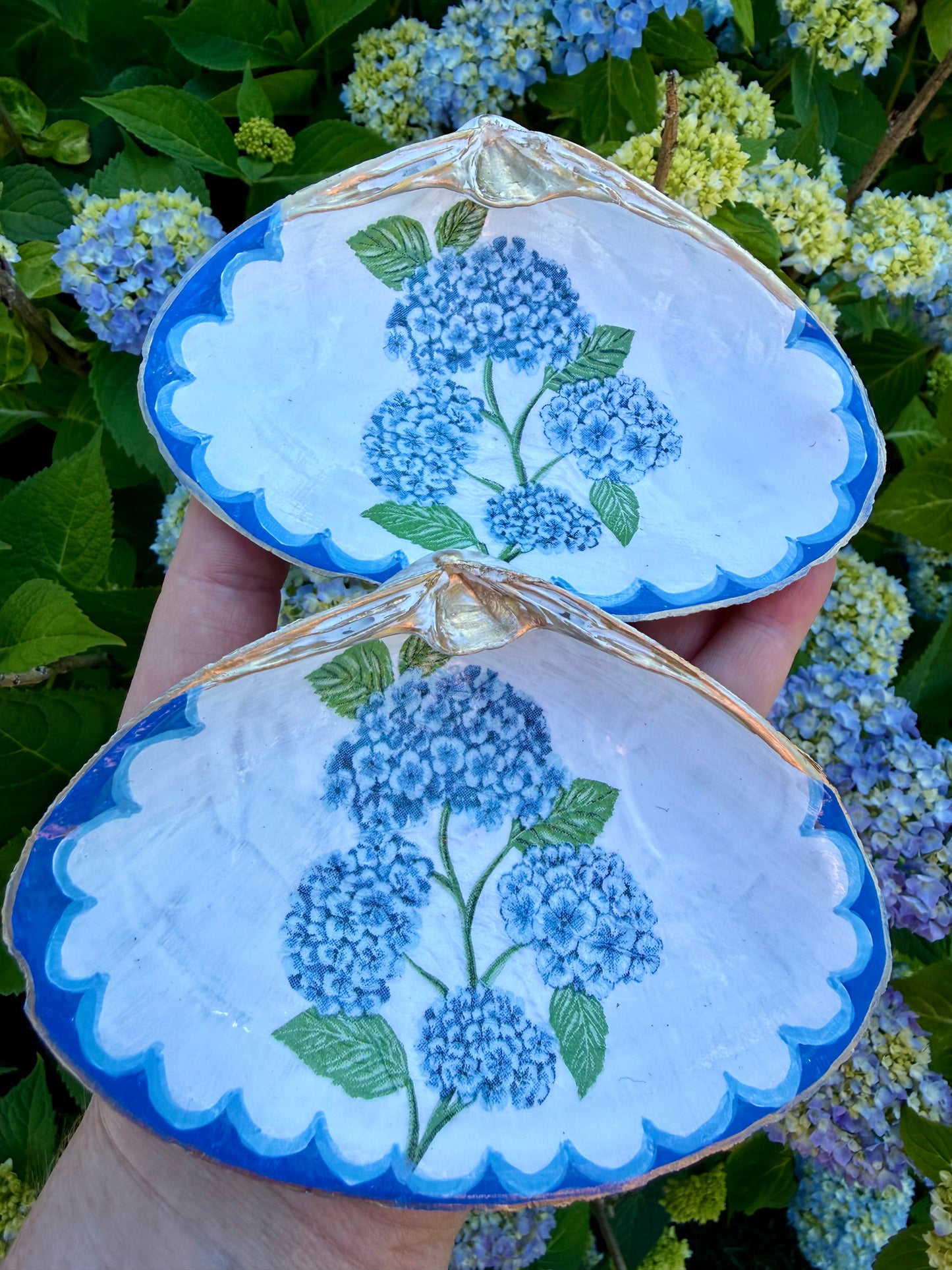 Hand-made Cape Cod Large 5-6” shells with hydrangeas and hand-painted border