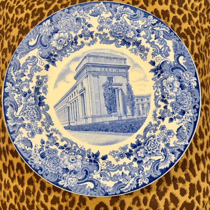 RARE Stunning SET OF 6 WEDGWOOD MIT MASSACHUSETTS INSTITUTE of TECHNOLOGY BLUE 10.5d  PLATES