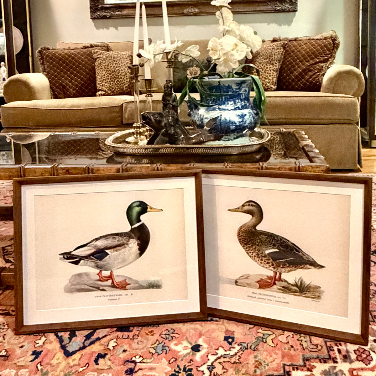 Handsome set mallard duck Audubon style print wall art 20 x 16 ea