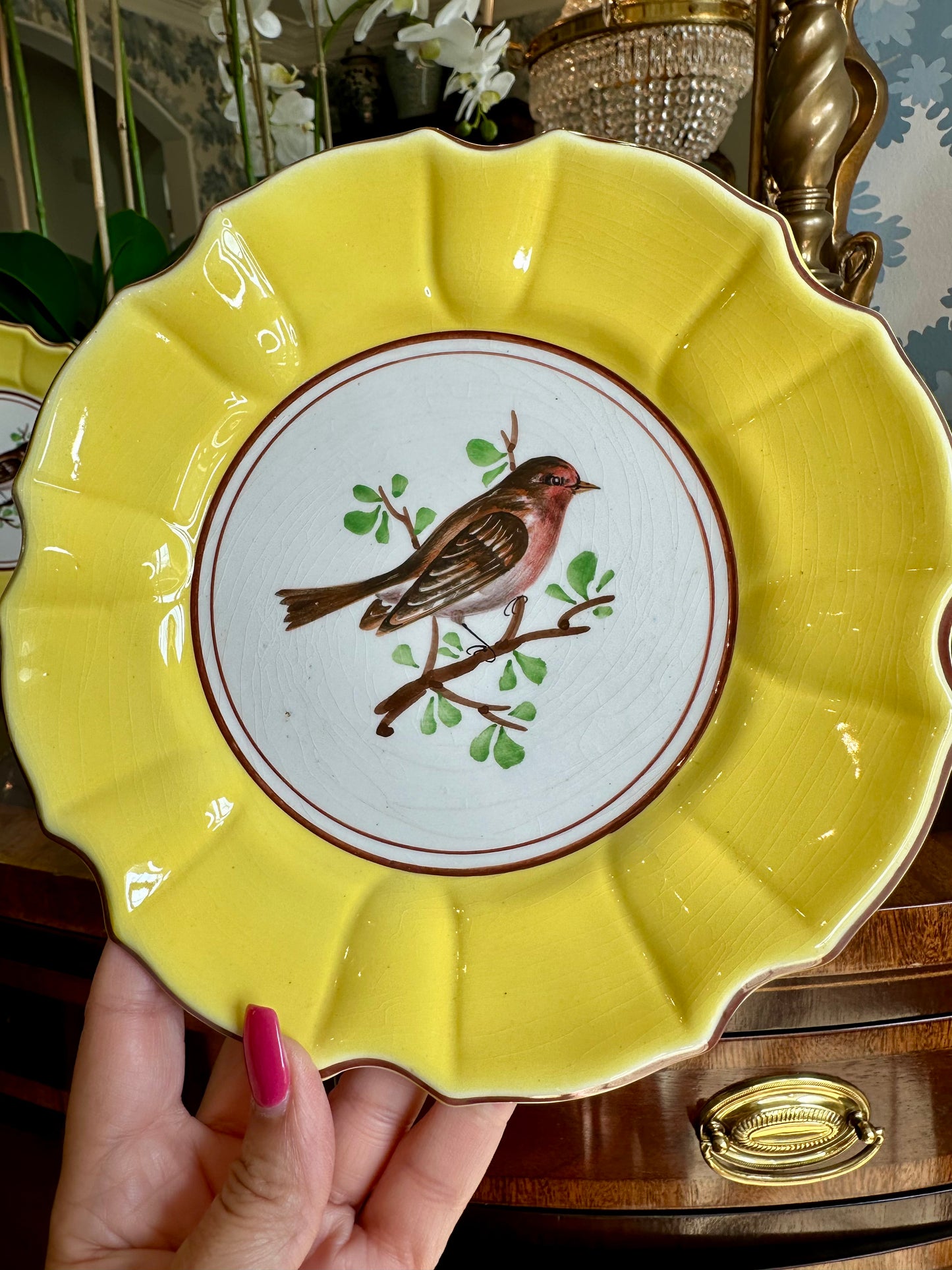 Prettiest Set of 4 Vintage Italian Majolica Hand painted Bird Plates Yellow Border