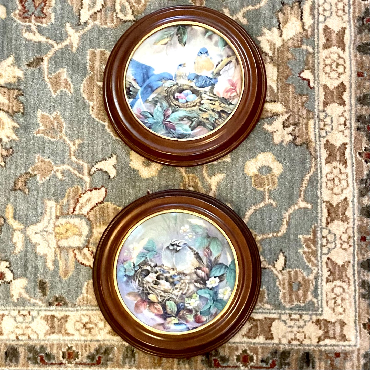 Set of 2 vintage wood framed Audubon collectors bird plates