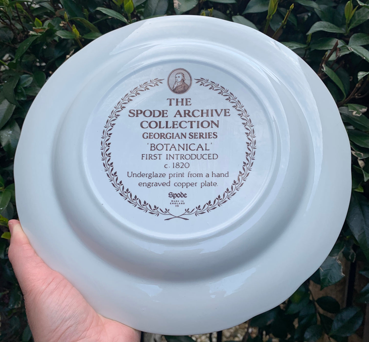 Spode Archive Collection Georgian Series Botanical Brown Transfer-ware Plate! - Excellent condition!