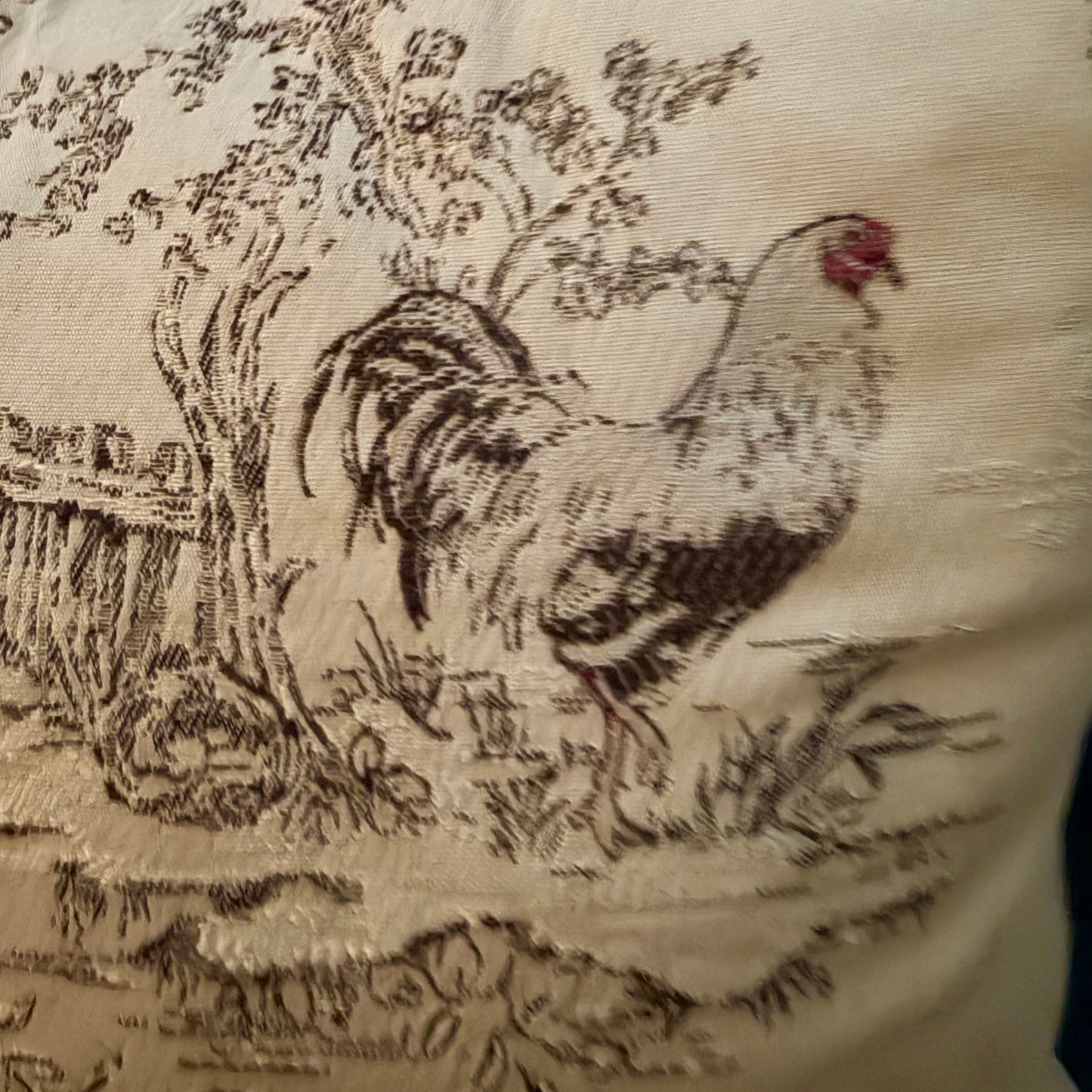 Country French rooster lumbar throw pillow 24 x 14