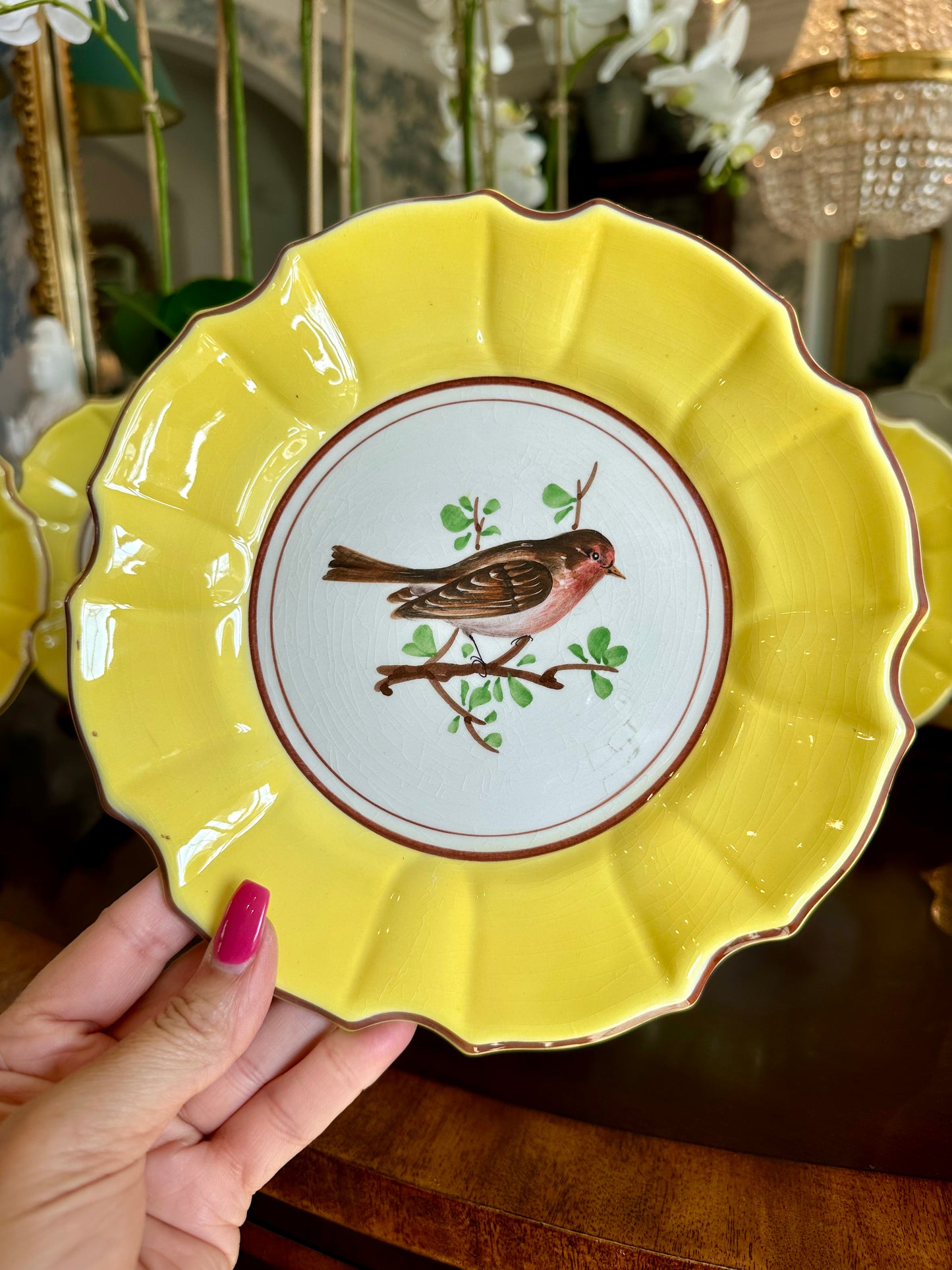 Prettiest Set of 4 Vintage Italian Majolica Hand painted Bird Plates Yellow Border