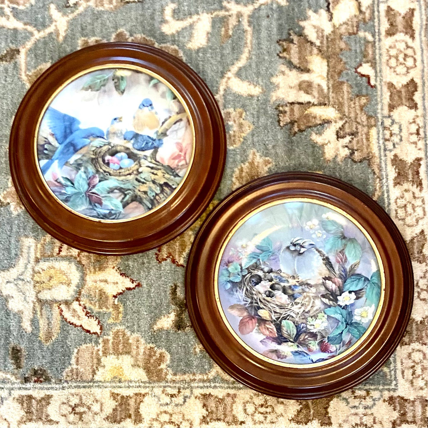 Set of 2 vintage wood framed Audubon collectors bird plates