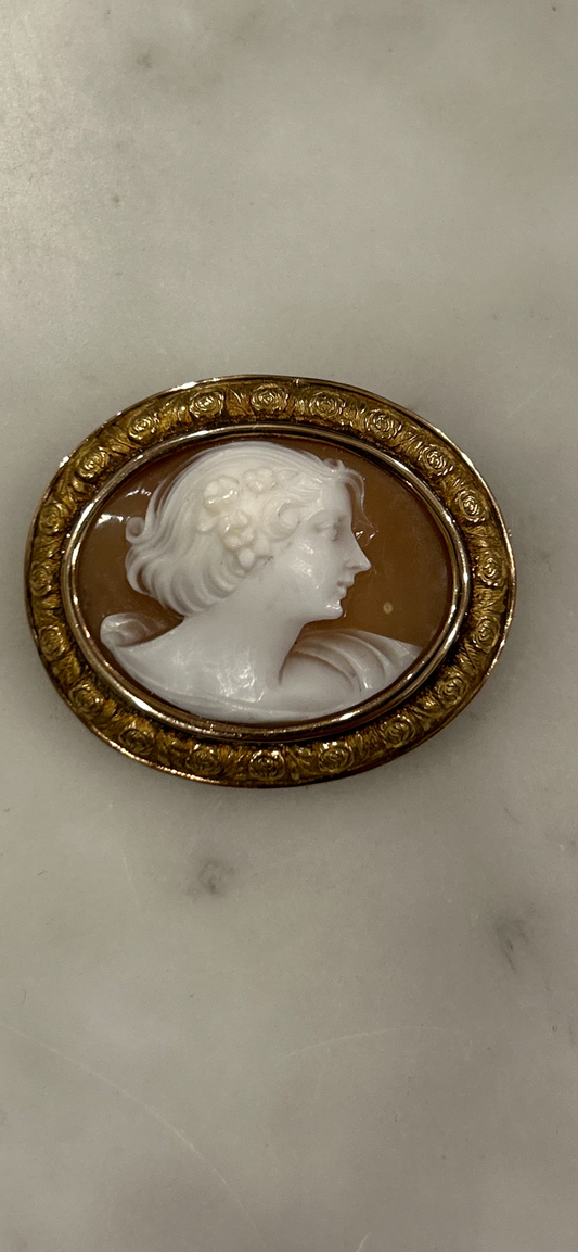 Antique Shell Cameo in a 14k Gold Oval Setting 1 1/2”w 1 1/4”h