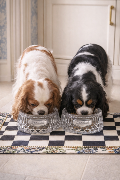 Spoiled Crystal Dog Bowl | 7.87” L x 7.87” W x 3.12” H
