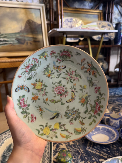 Antique Chinese Canton Celadon Famille Rose Bird & Butterfly Plate | Qing Dynasty, 19th Century | 8.75”