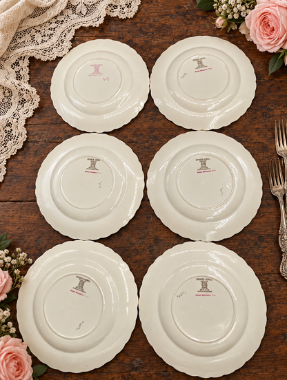 Set of Six Vintage Copeland Spode Jewel Billingsley Rose Dinner Plates