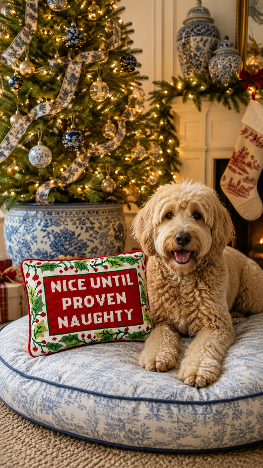 Nice Until Proven Naughty Embroidered Needlepoint Pillow | 10" x 14"