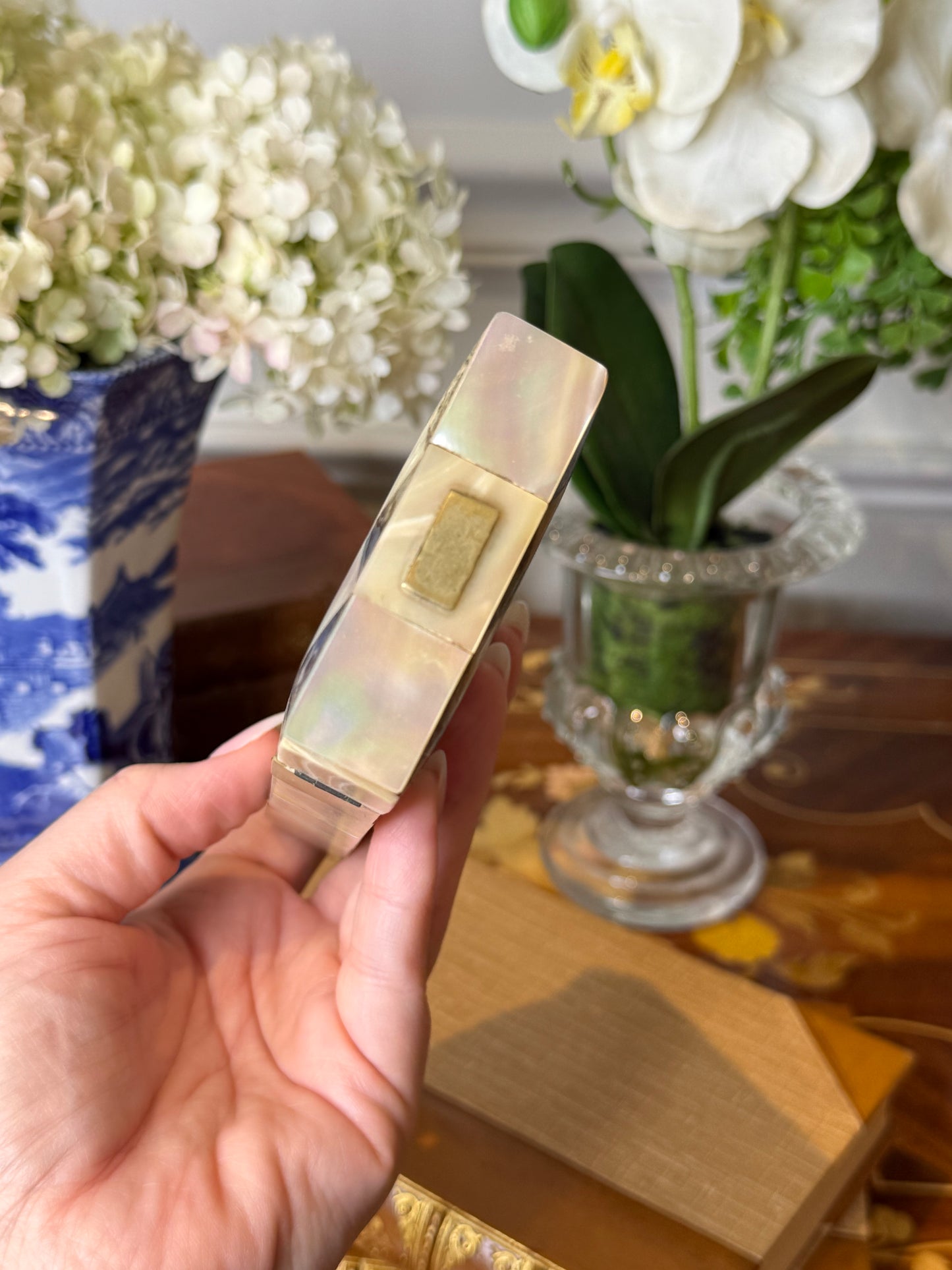Antique Mother of Pearl & Abalone Cigar Case with Silver Cartouche | 19th Century | 5” L × 3” W × 3/4” H