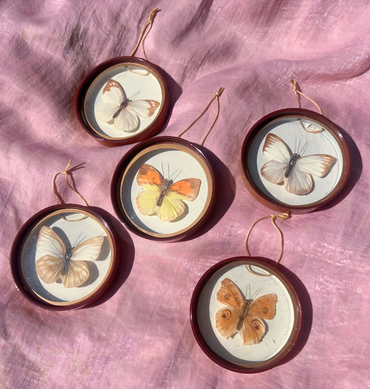 Rare Whimsical Vintage Set of 5 Butterfly Ornaments
