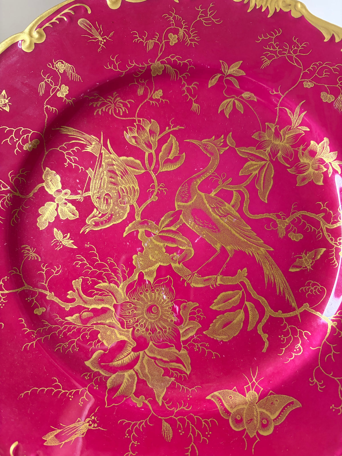Stunning Copeland Spode maroon and gold plate featuring birds! As is!