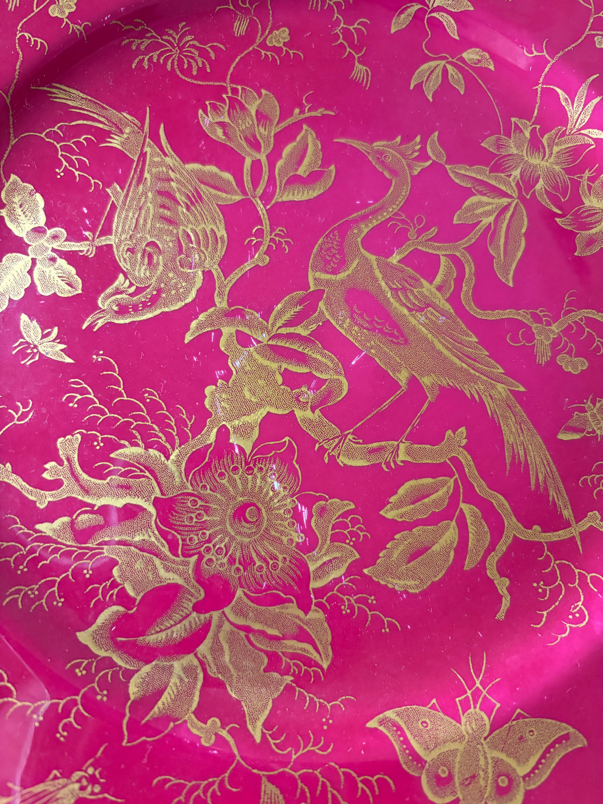 Stunning Copeland Spode maroon and gold plate featuring birds! As is!