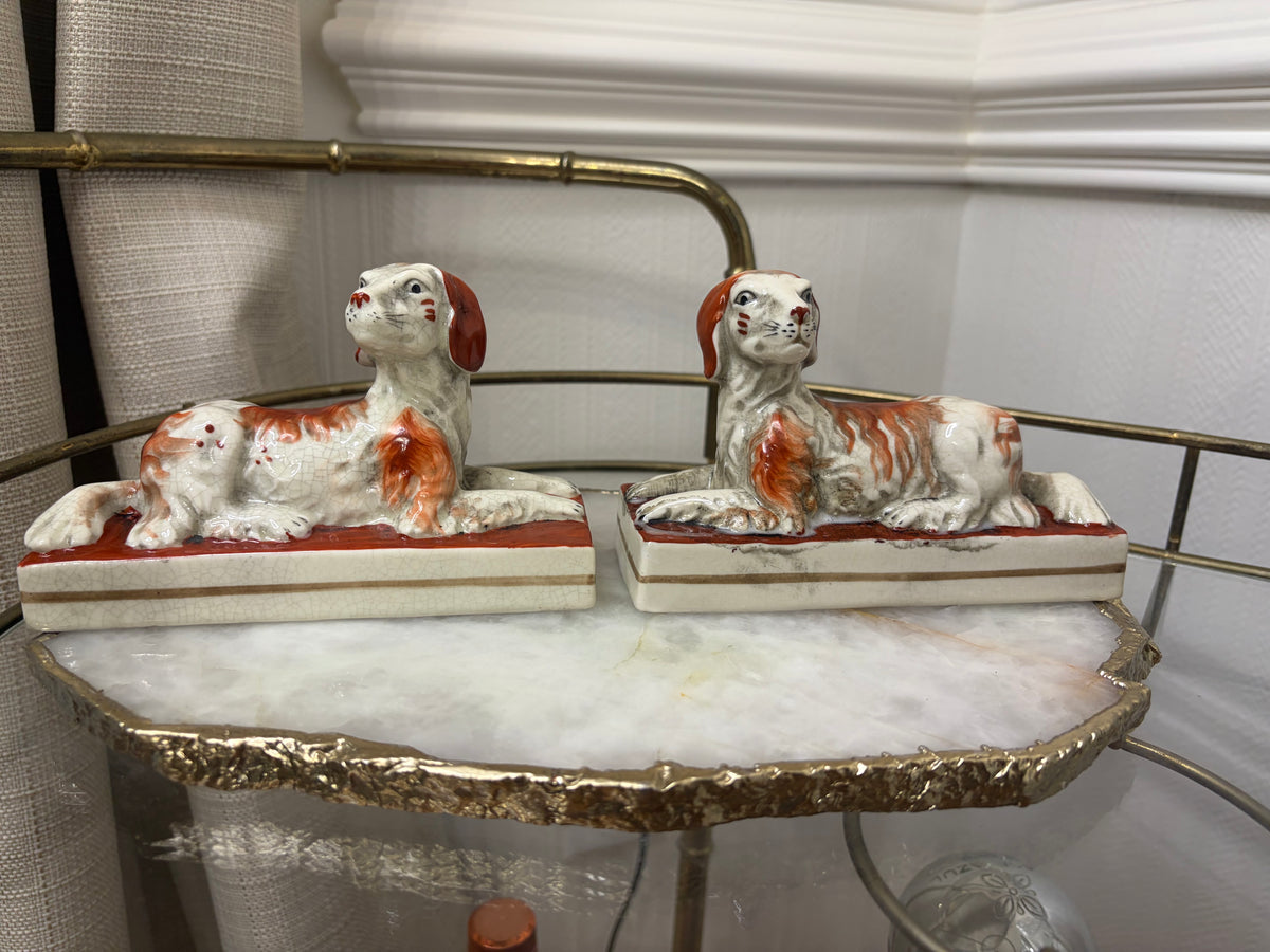 Sweetest dogs pair in rust color!