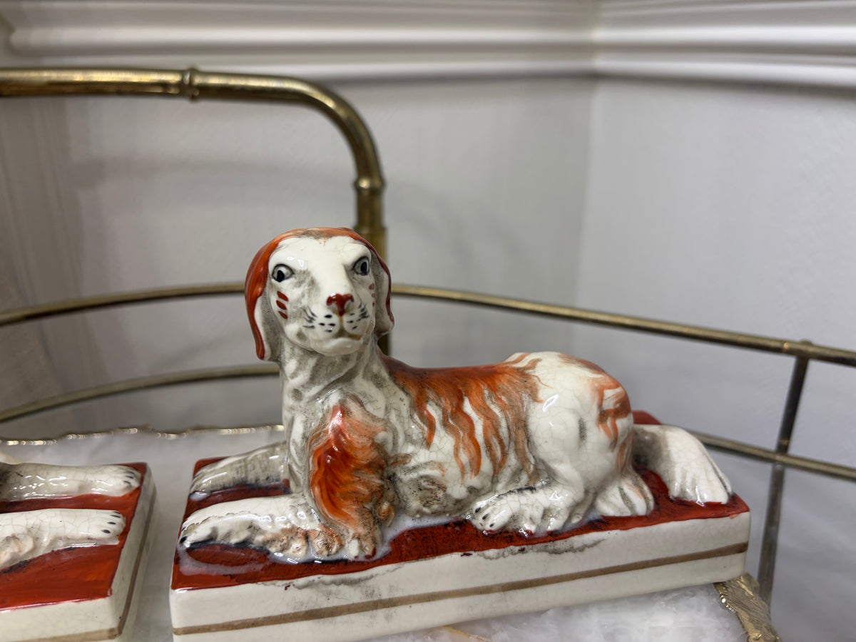 Sweetest dogs pair in rust color!