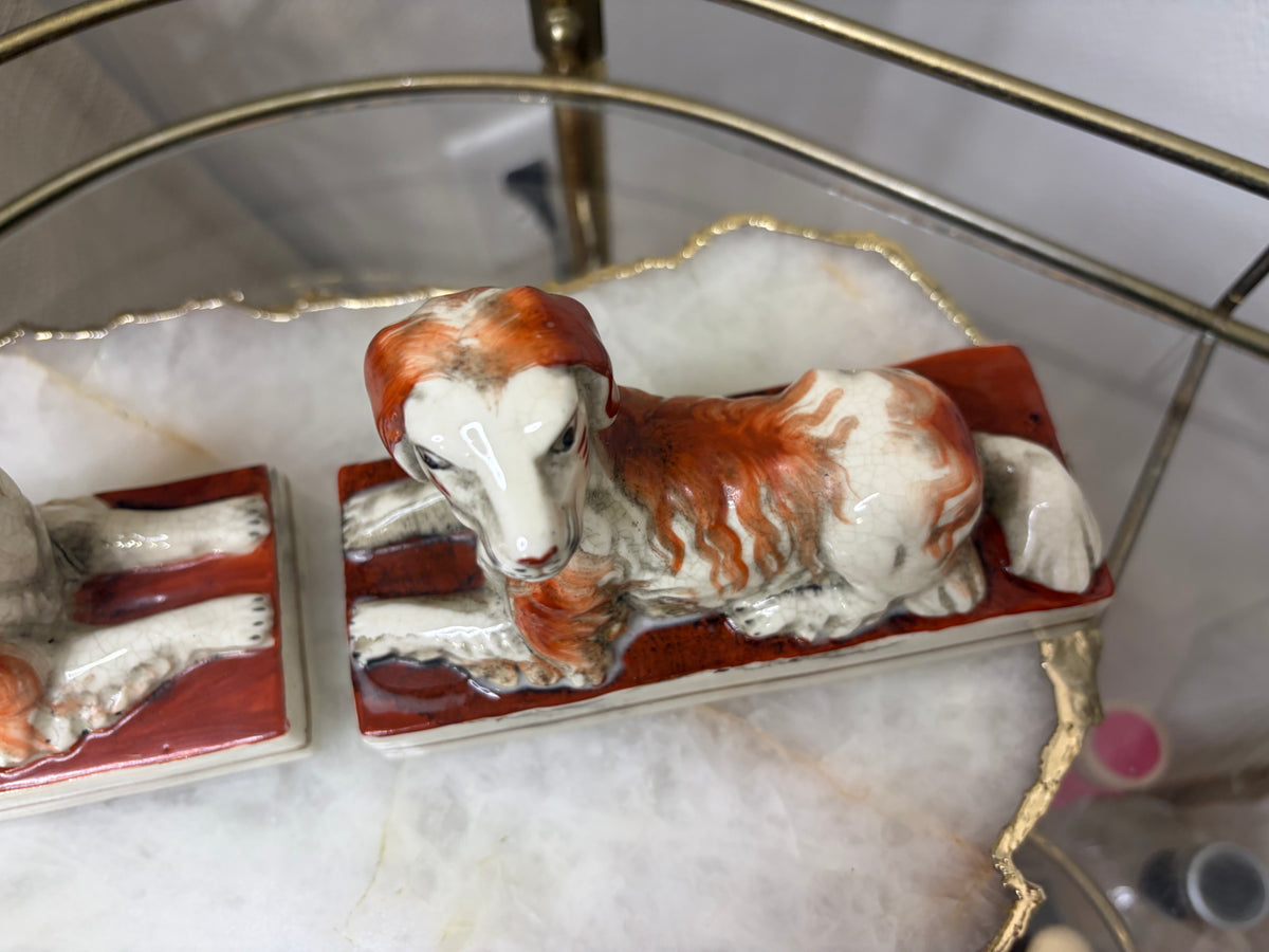 Sweetest dogs pair in rust color!
