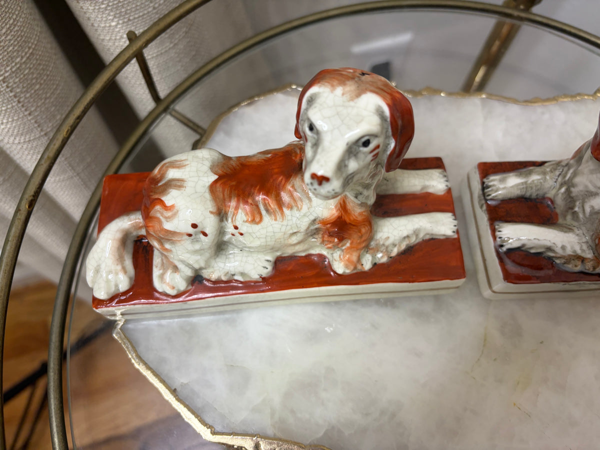Sweetest dogs pair in rust color!