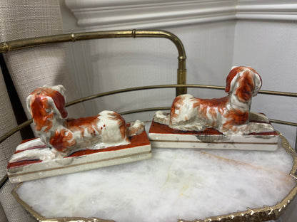 Sweetest dogs pair in rust color!
