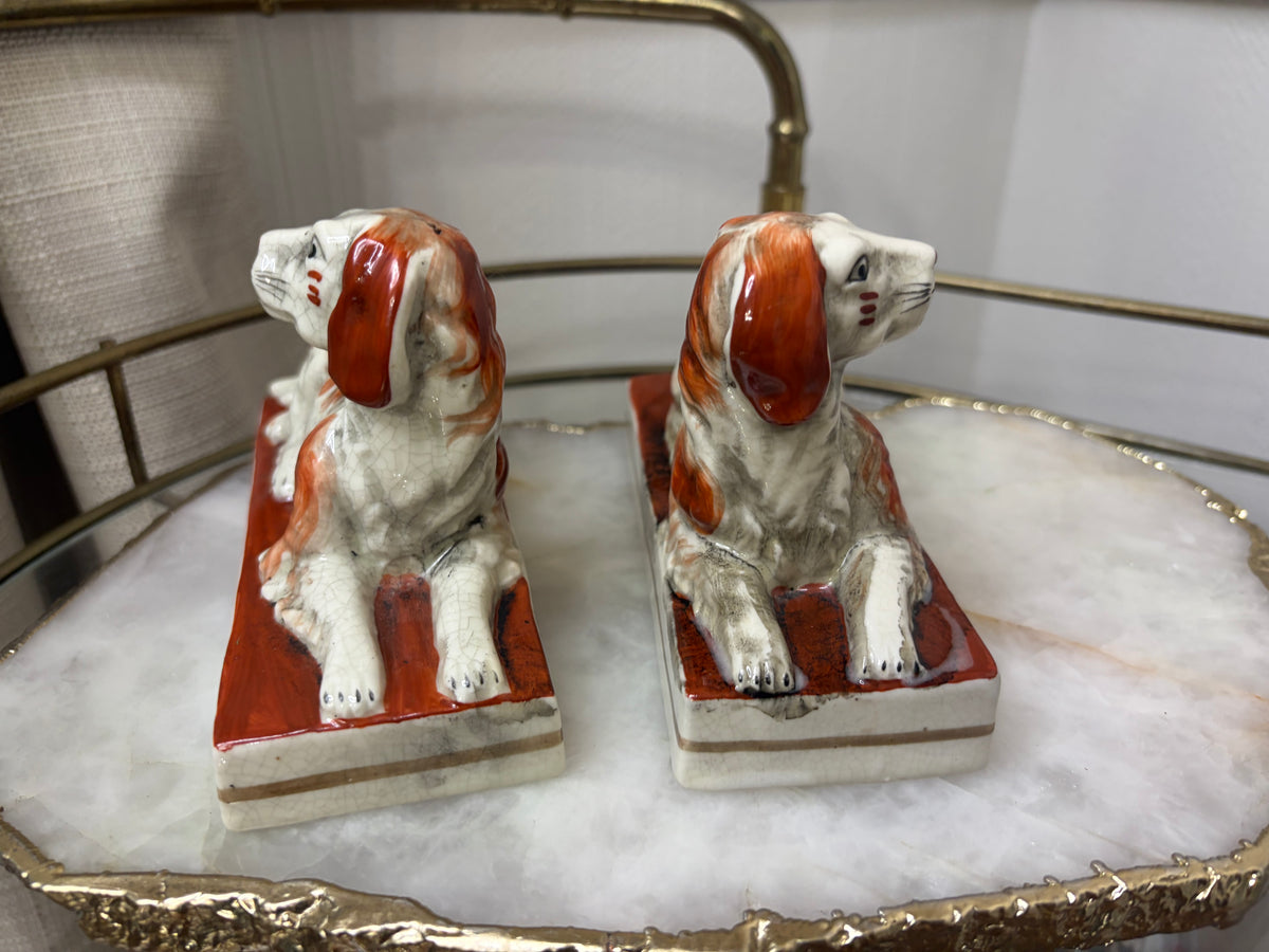 Sweetest dogs pair in rust color!