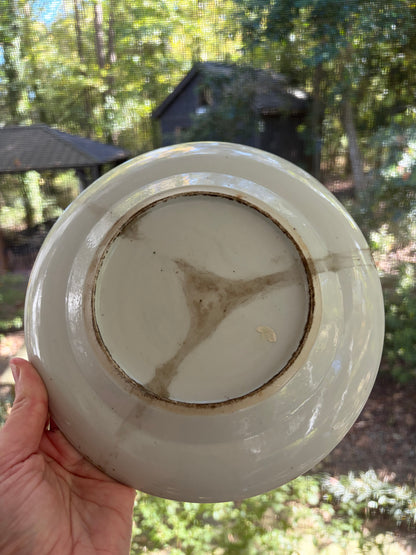 Antique 19th century famille rose plate!