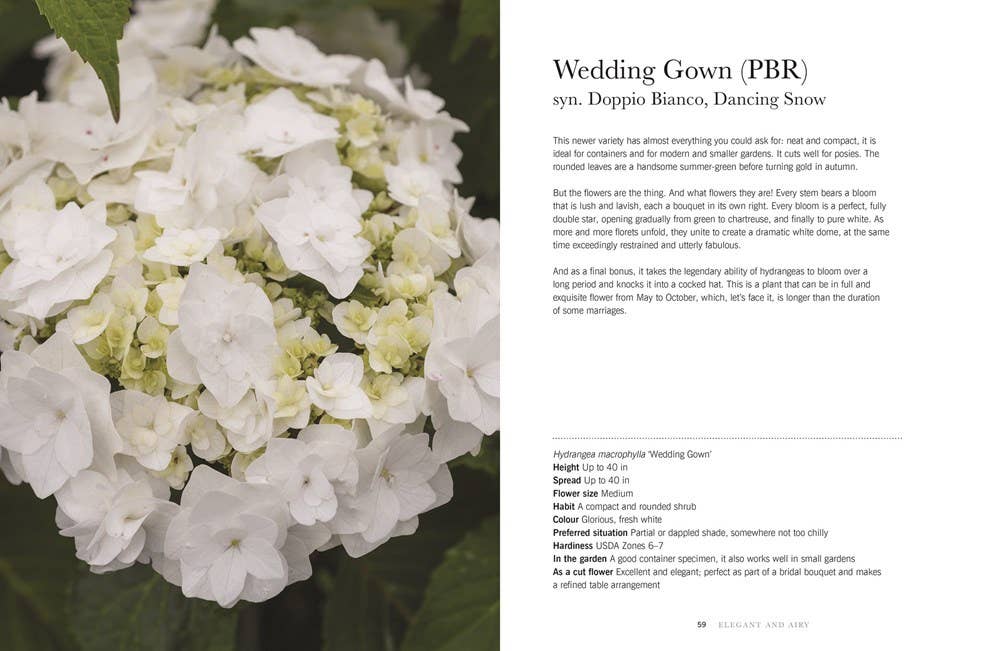 Hydrangeas: Beautiful Varieties for Home & Garden Design Book