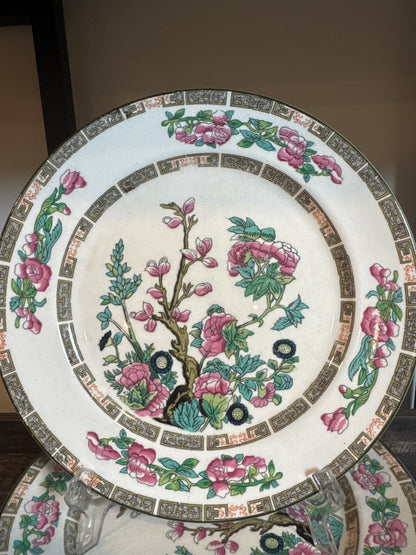 John Maddock & Sons English Floral Plates – Pink & Green