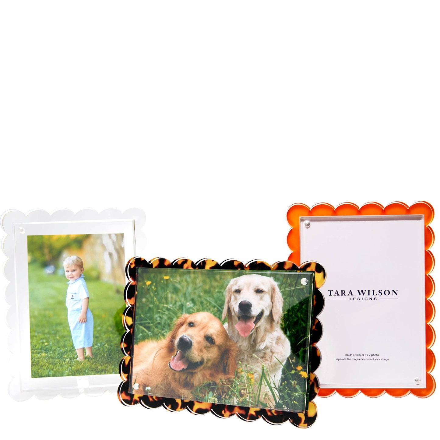Tara Wilson Designs | Tortoise Scalloped Acrylic Frame | Fits 5" x 7" Photo