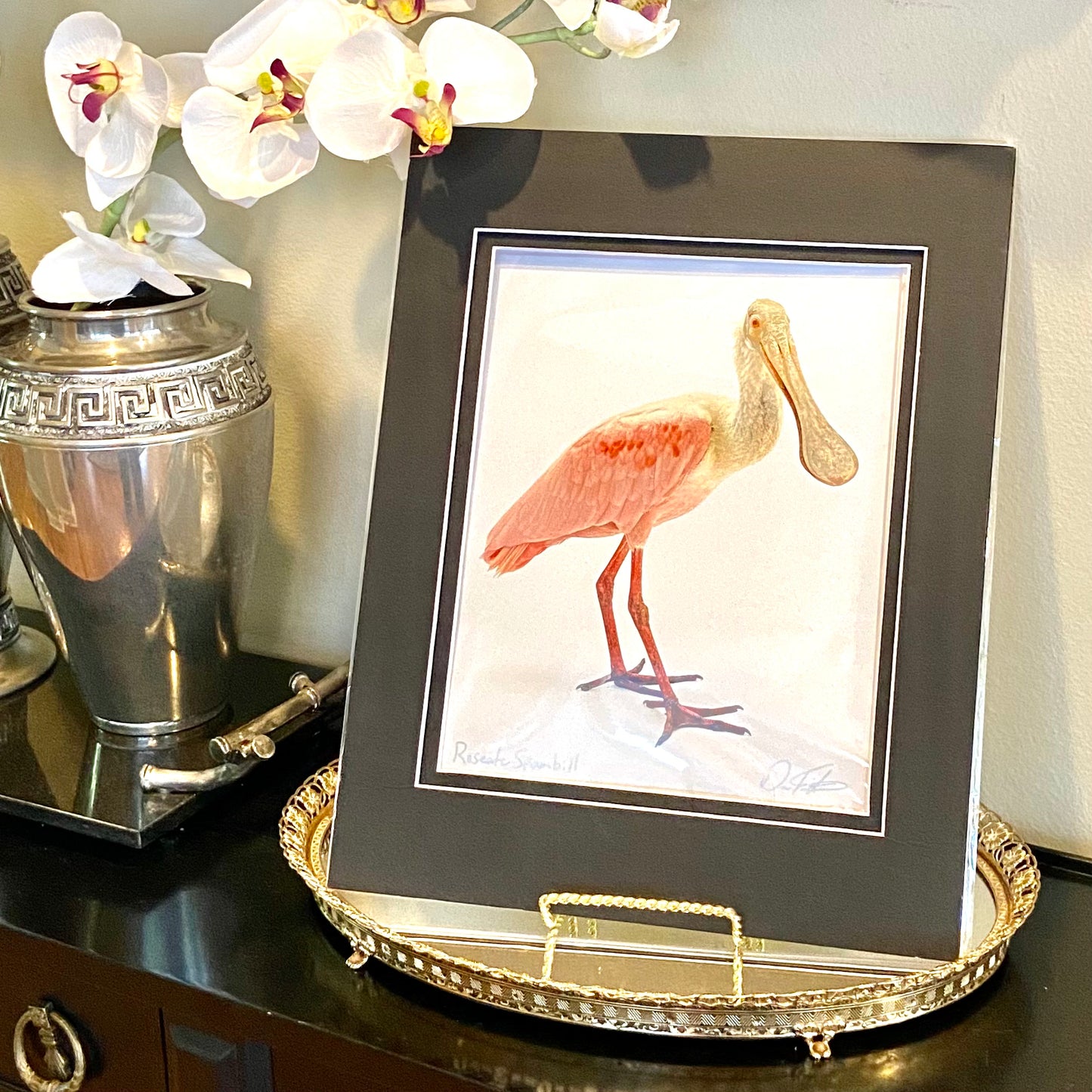 New wrapped Roseate Spoonbill Audubon bird art signed print by artist