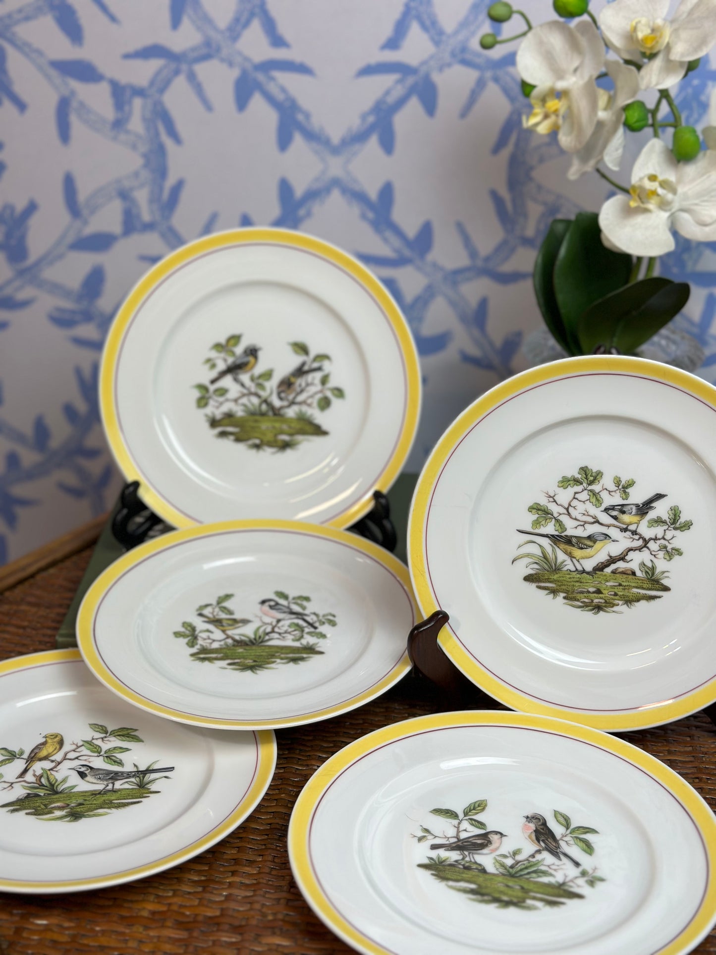 Vintage Set (5) Audobon Bird Porcelain Plates, Yellow 8”D - Pristine!