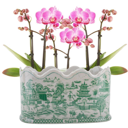 Danny's Fine Porcelain - Green & White Porcelain Pagoda Scalloped Basin, 12x8x7 - Pristine!