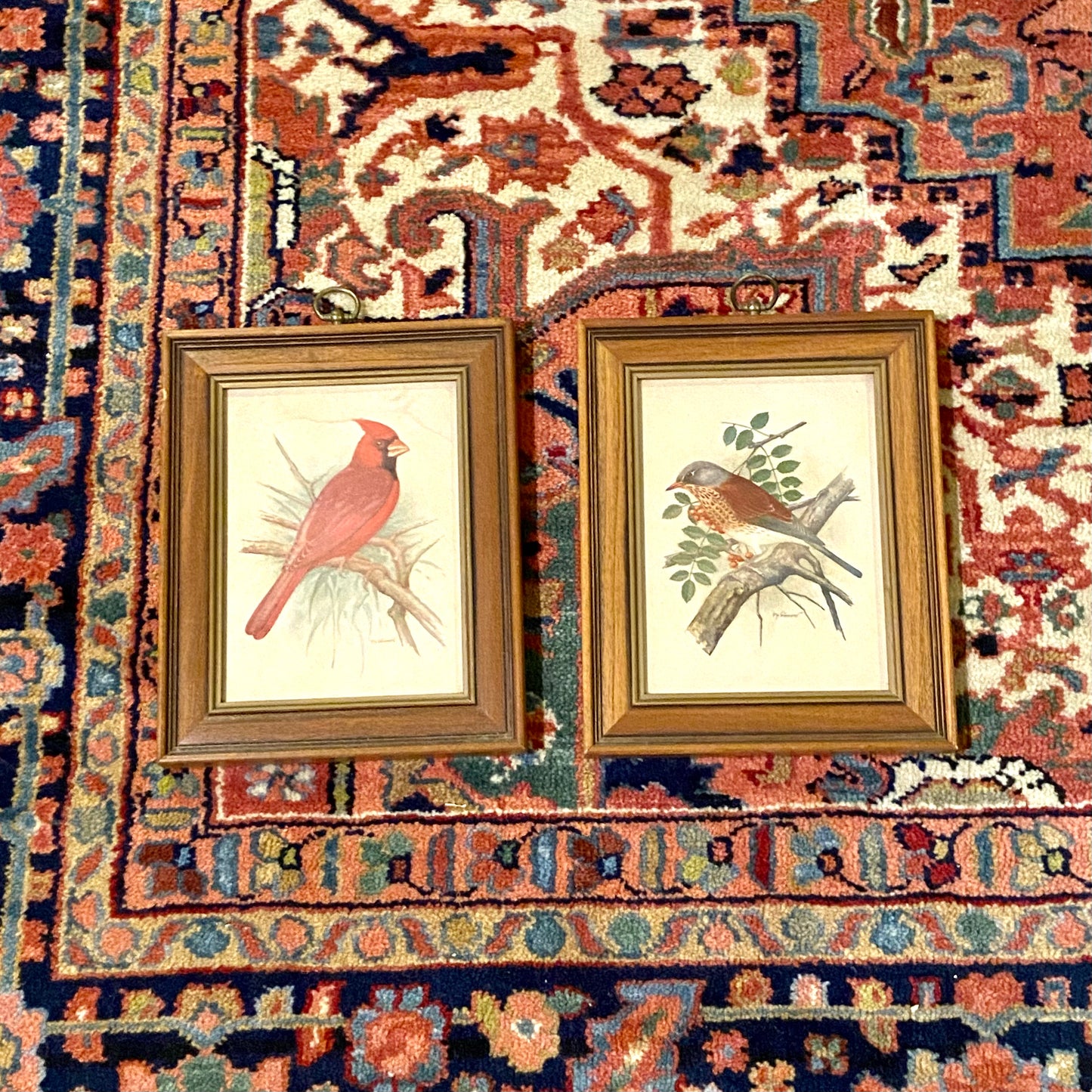 Pair of vintage Audubon bird color lithograph wall art