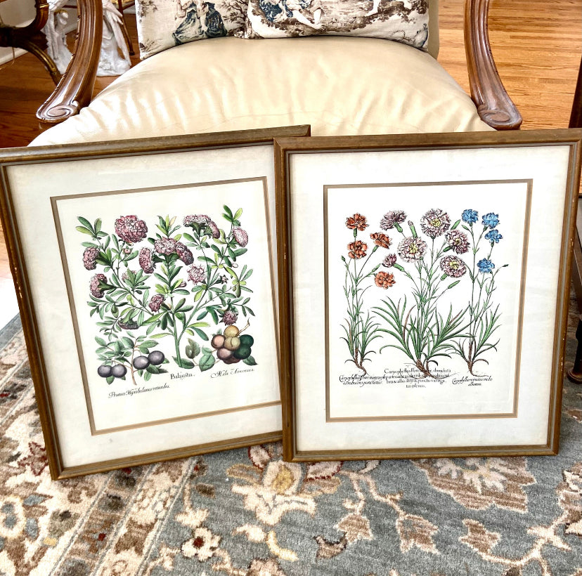Set of two vintage framed botanical wall art