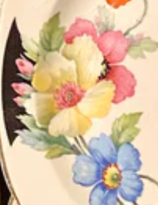 Lovely floral 8 piece of vintage botanical luncheon & salad plates